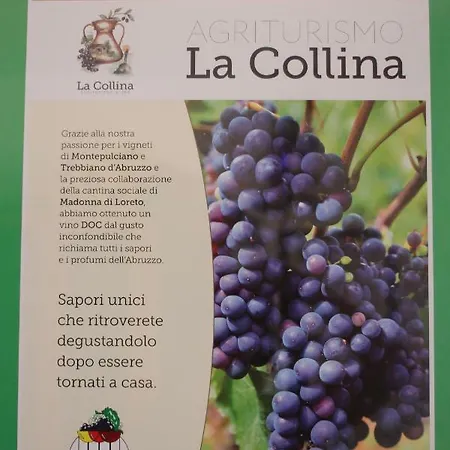 Alojamento de Acomodação e Pequeno-almoço La Collina