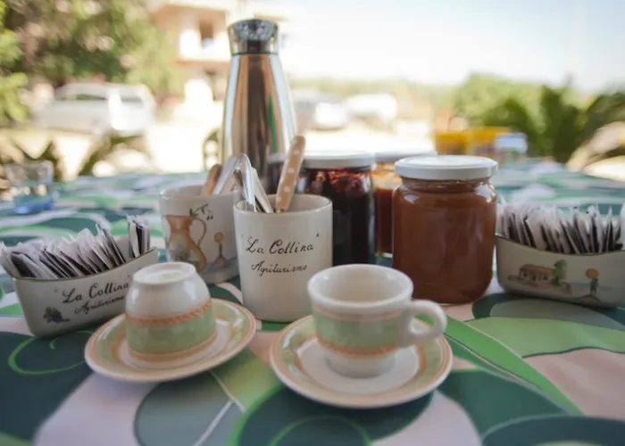 Bed & Breakfast La Collina Vasto