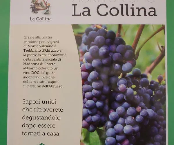 Bed & Breakfast La Collina