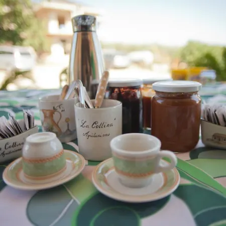 Frühstückspension La Collina Vasto