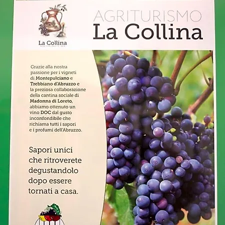 La Collina 3* Vasto
